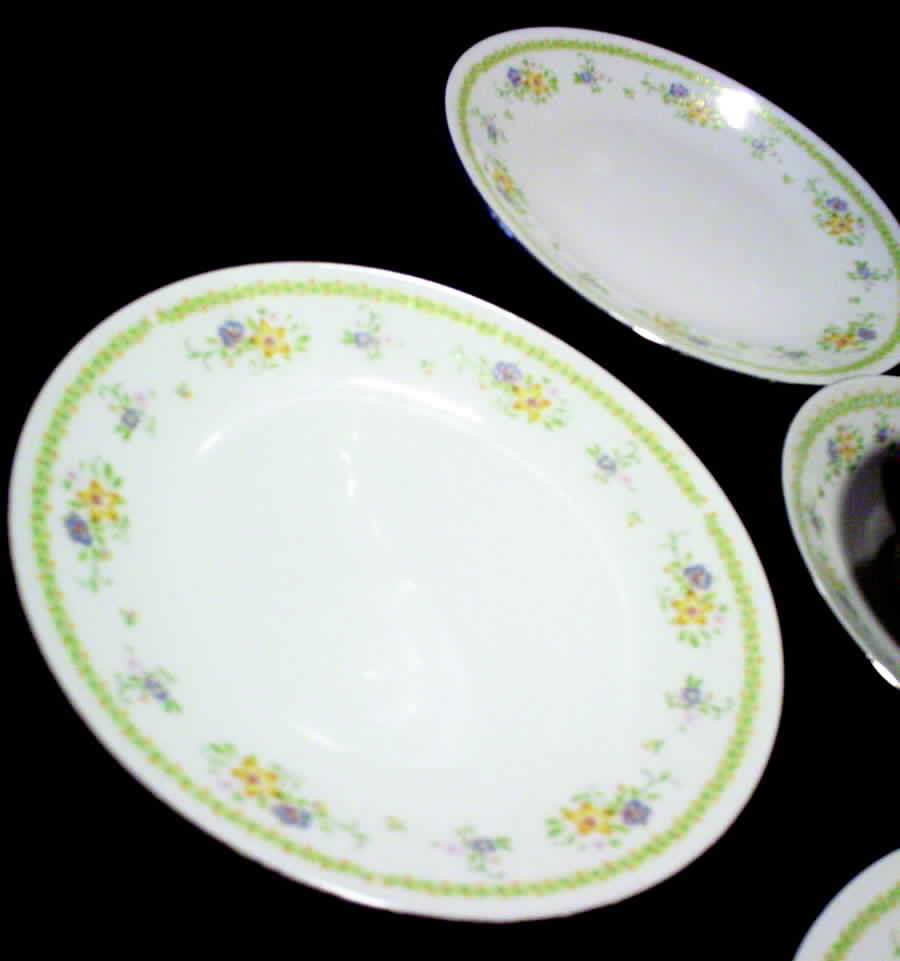 CX258 Dinner Plate by China (Made in China)-1