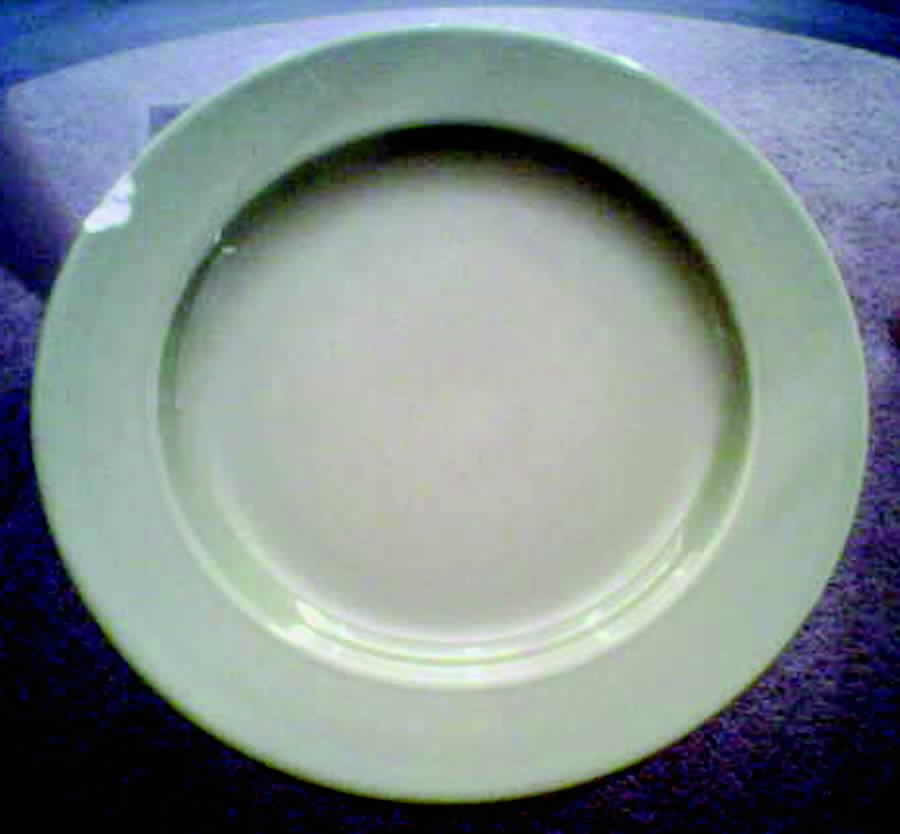CX261 Dinner Plate by China (Made in China)-1