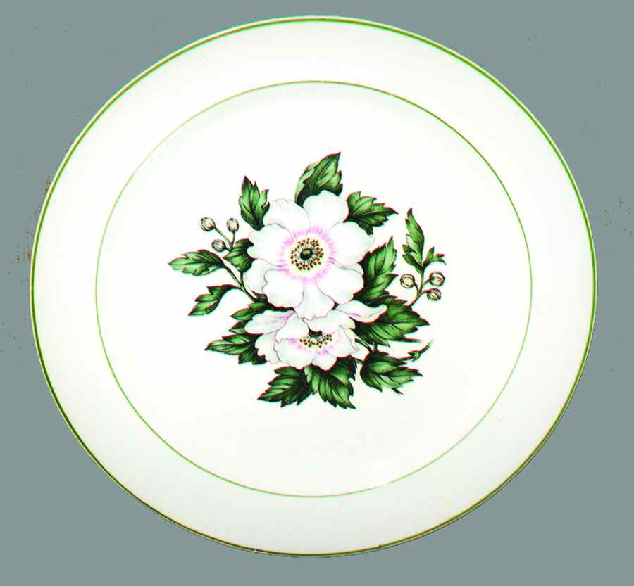 COI76 Dinner Plate by Cronin-1