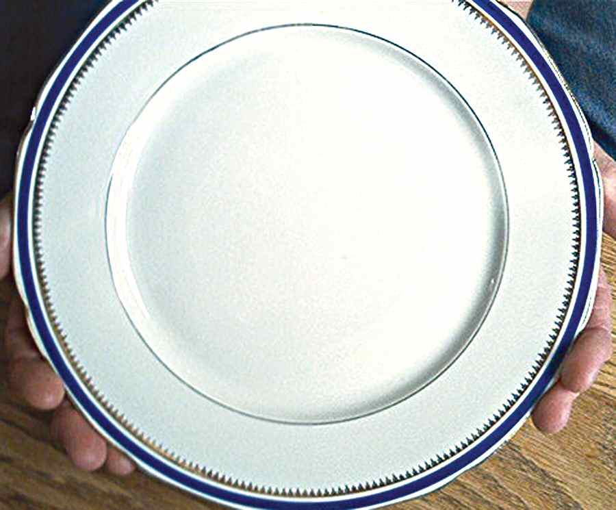 CEB90 Dinner Plate by Celebrate-1