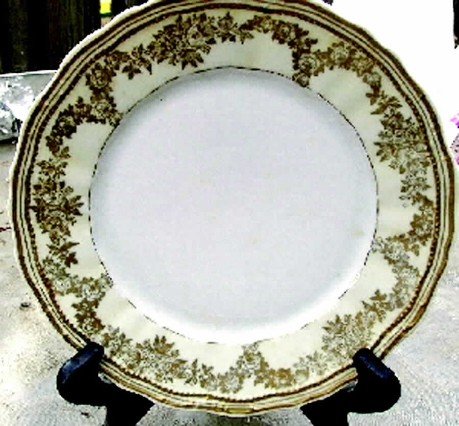22573 Salad Plate by Carl Tielsch-1