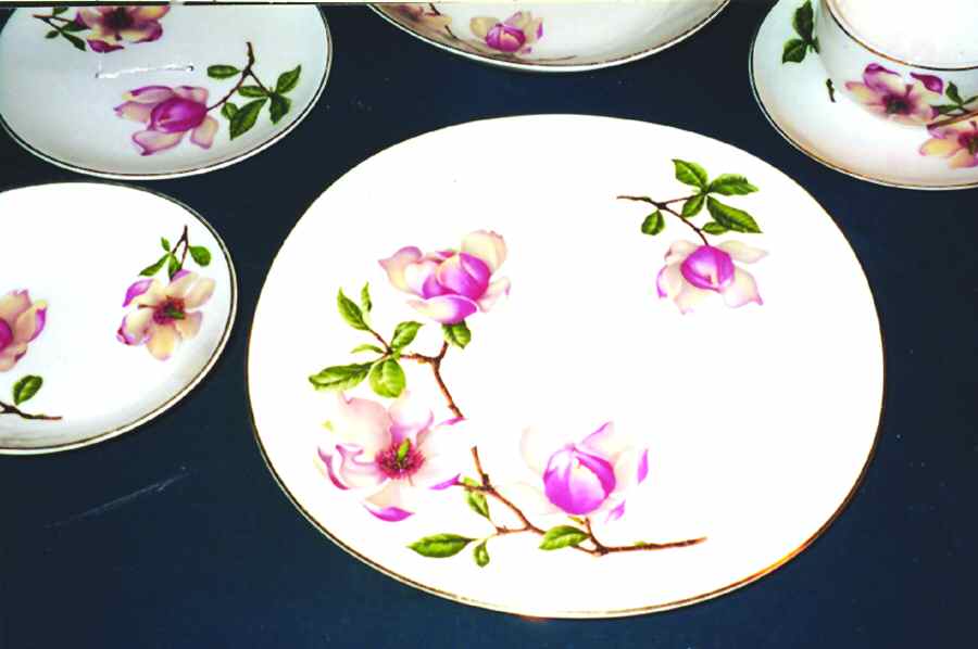 CRO276 Dinner Plate by Crooksville-1