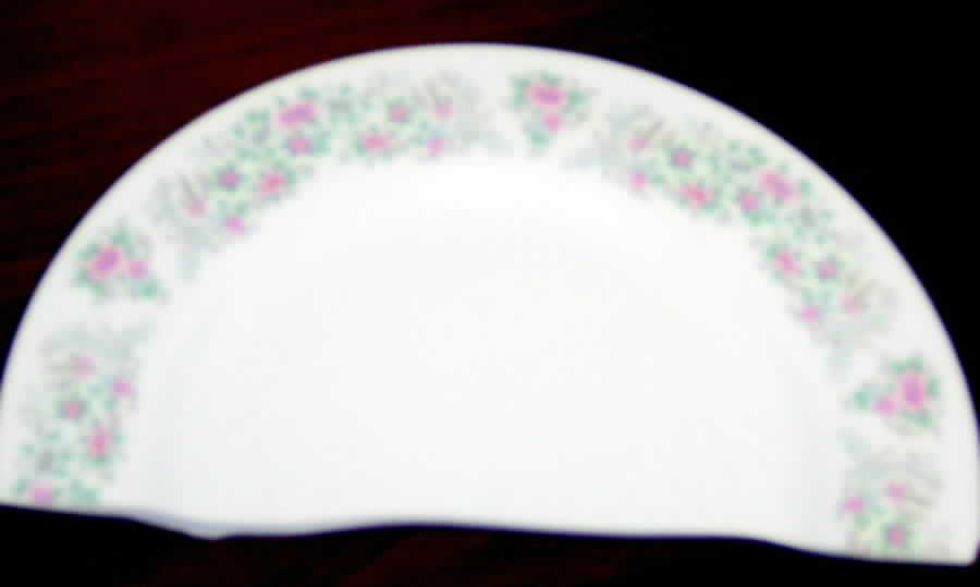 CX269 Dinner Plate by China (Made in China)-1