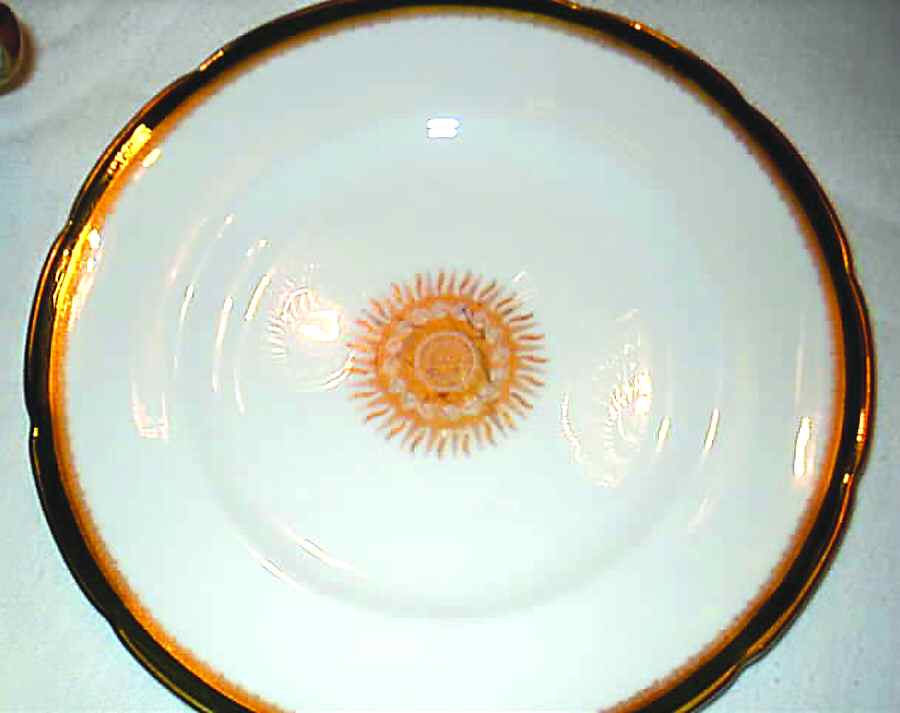 COA122 Dinner Plate by Coalport-1