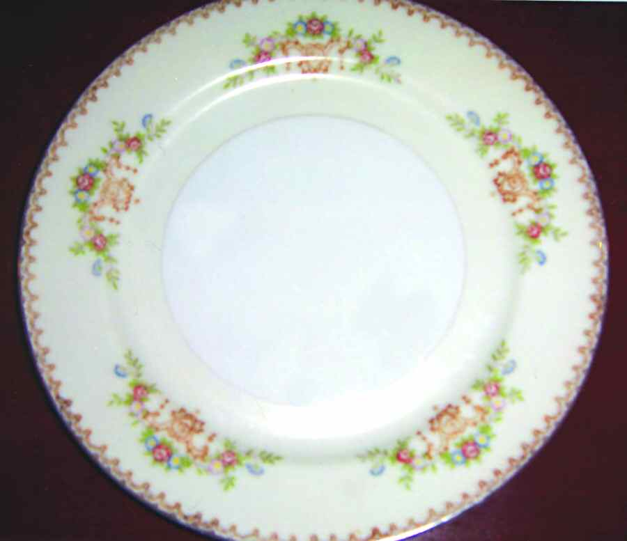 CEB91 Dinner Plate by Celebrate-1