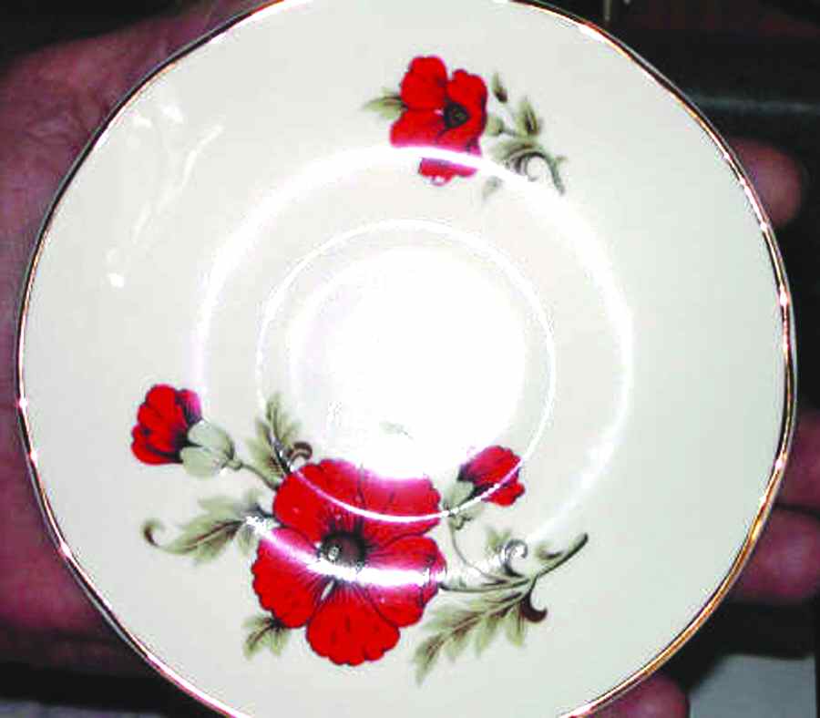CNT6 Saucer by Crown Trent-1
