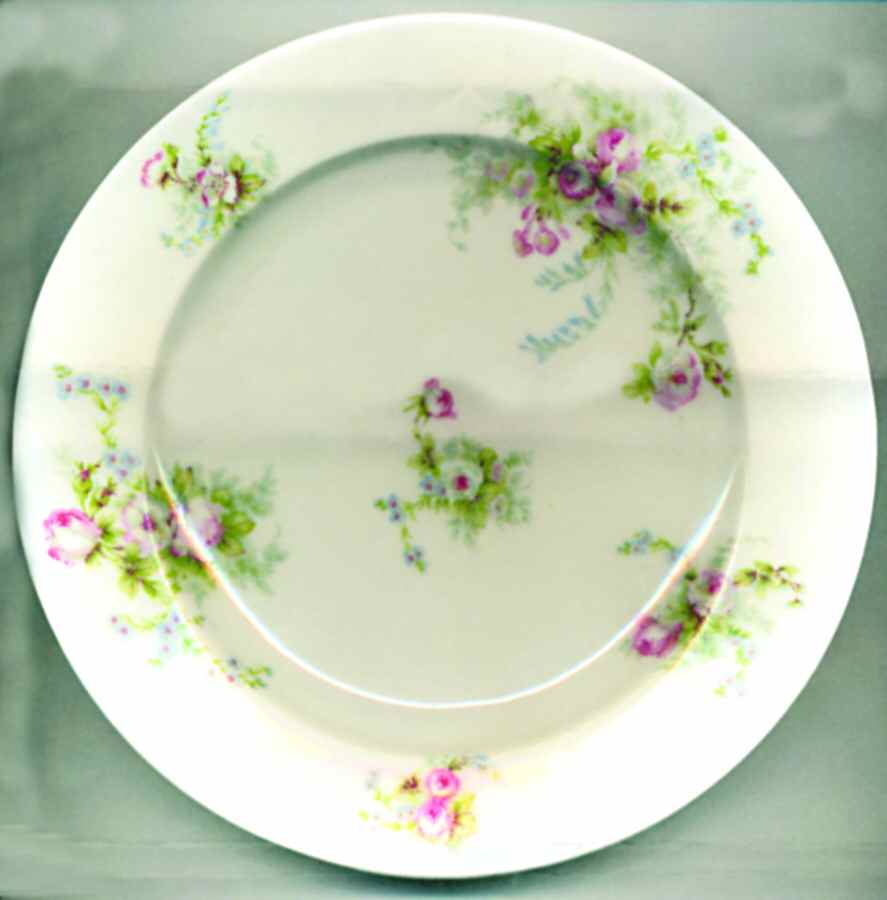 CHF1114 Salad Plate by Charles Field Haviland-1