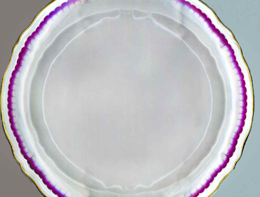 Foliage Dinner Plate by Ceralene-1