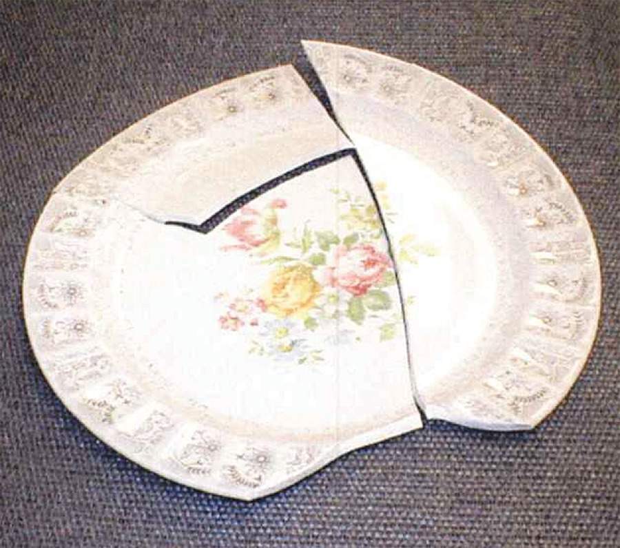 COI80 Dinner Plate by Cronin-1