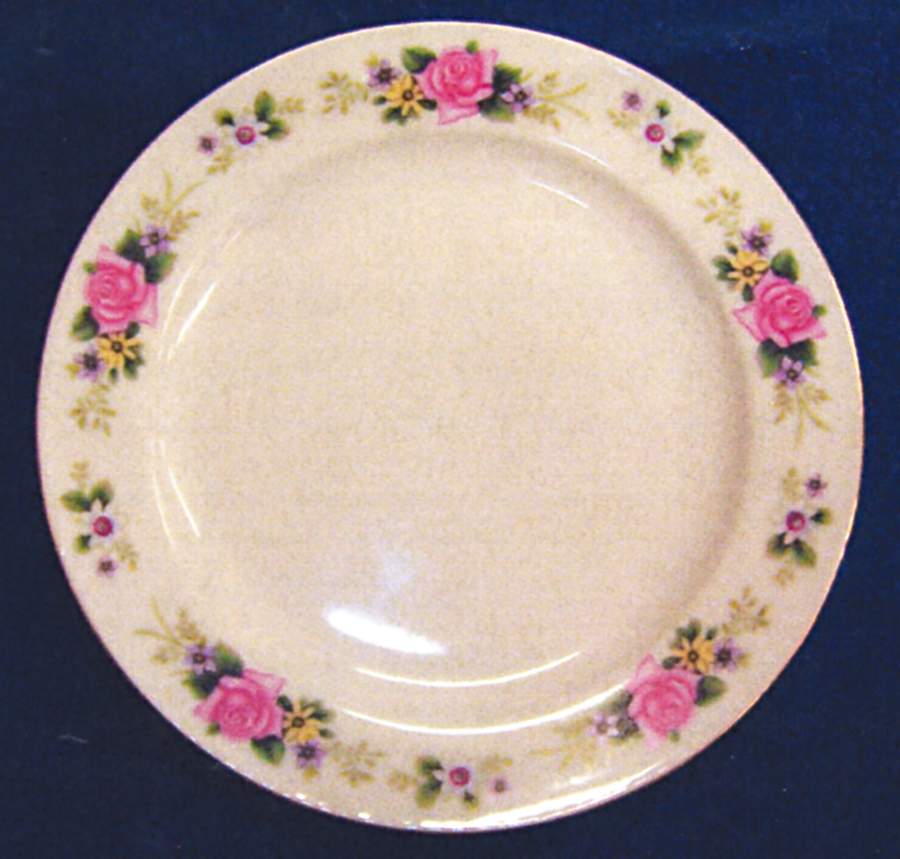 CX275 Dinner Plate by China (Made in China)-1