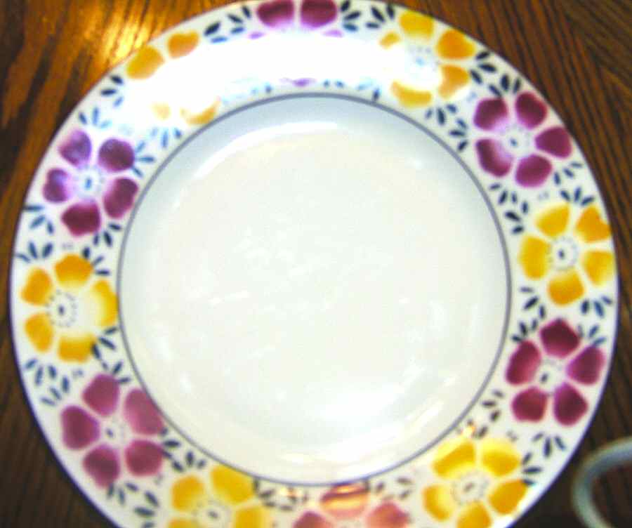 CEB93 Dinner Plate by Celebrate-1