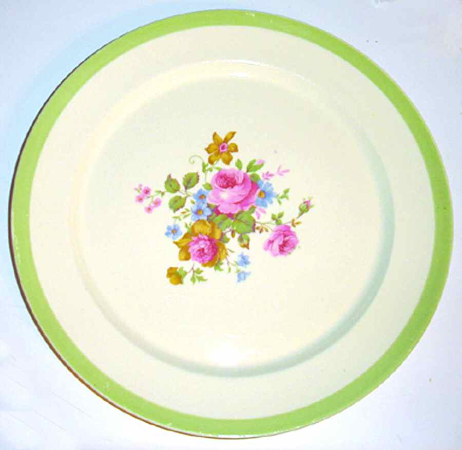 CAN177 Dinner Plate by Canonsburg-1