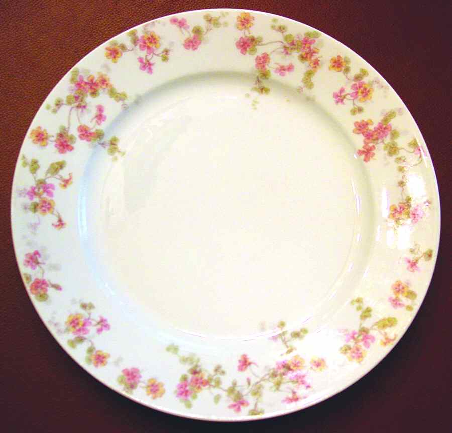 CHF1128 Dinner Plate by Charles Field Haviland-1