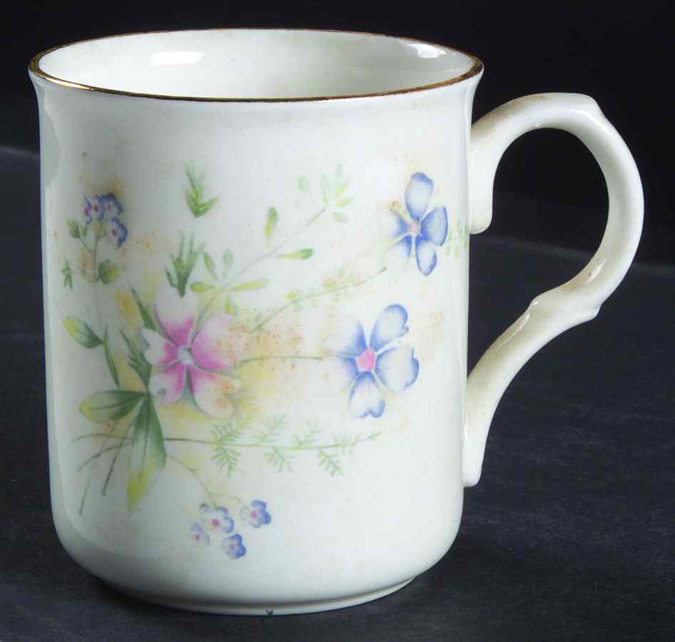 Various Mugs Only Mug by Crown Trent-1