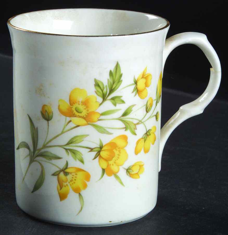 Various Mugs Only Mug by Crown Trent-1