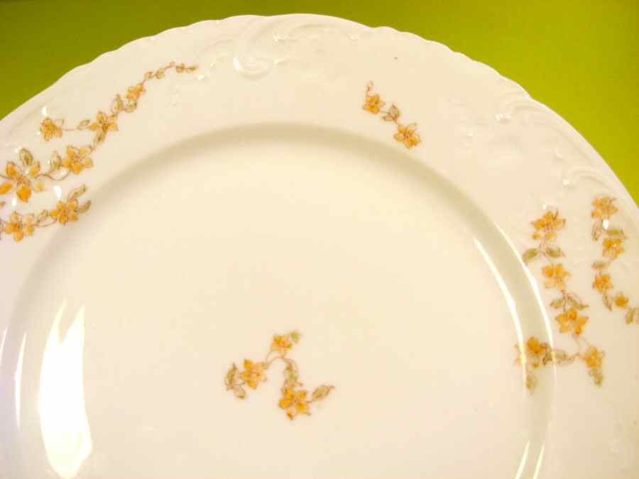 CHF1131 Dinner Plate by Charles Field Haviland-1