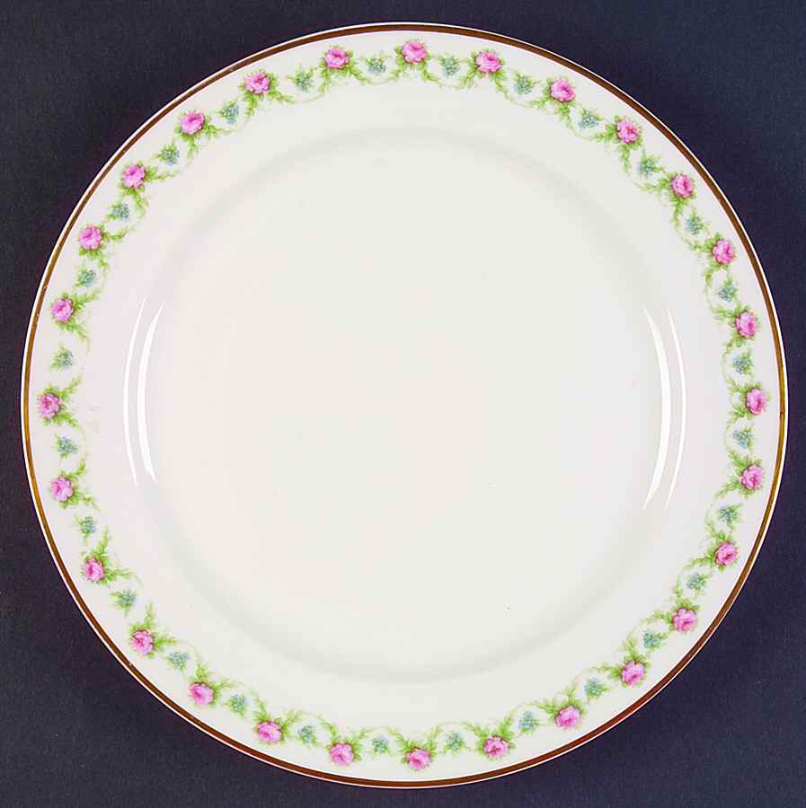 Schleiger 1348-1 Dinner Plate by Charles Field Haviland-1