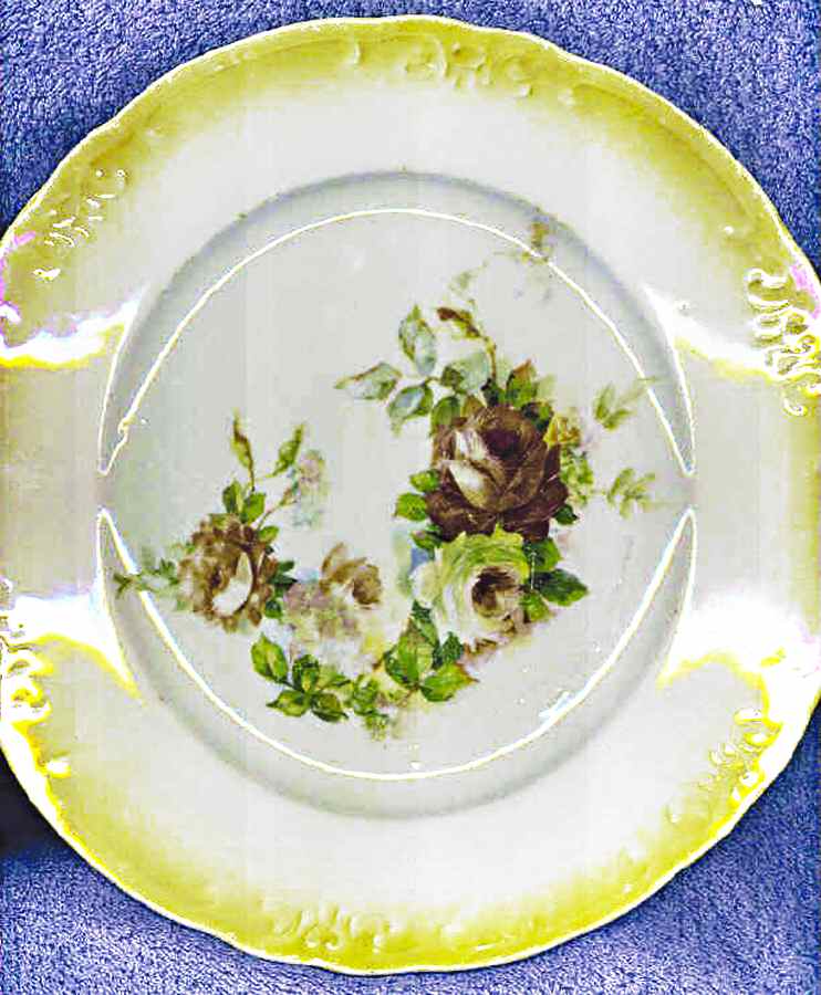 CEB95 Dinner Plate by Celebrate-1