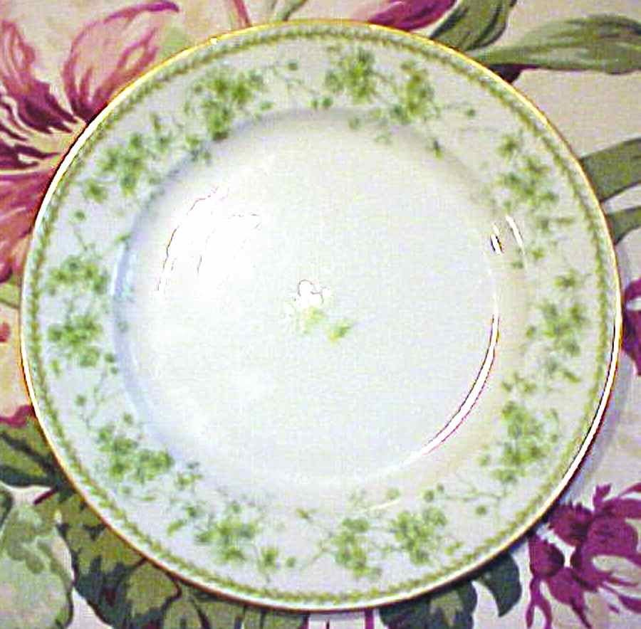 CHF1213 Salad Plate by Charles Field Haviland-1