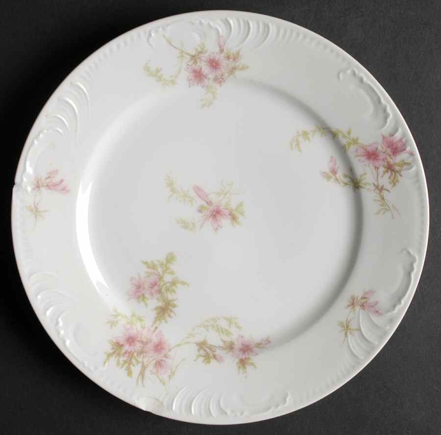 Schleiger 1293-7 Salad Plate by Charles Field Haviland-1