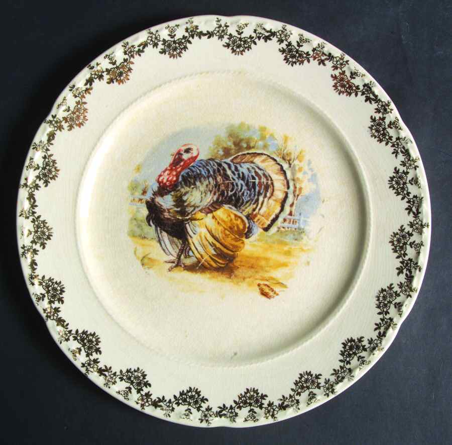 CRO288 Dinner Plate by Crooksville-1