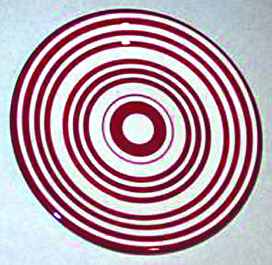 Americana Rooster Salad Plate by Centrum-1