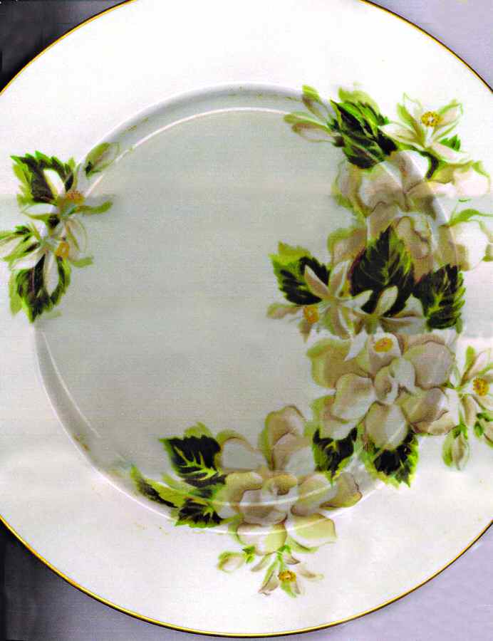 CTW2 Dinner Plate by Crestwood-1