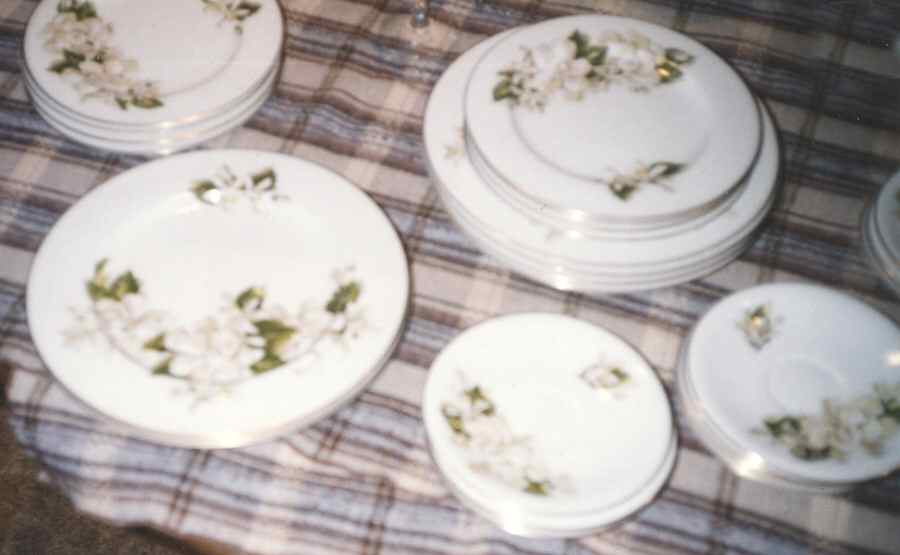 CTW2 Salad Plate by Crestwood-1