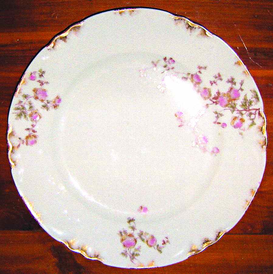 Schleiger 1298-2 Dinner Plate by Charles Field Haviland-1
