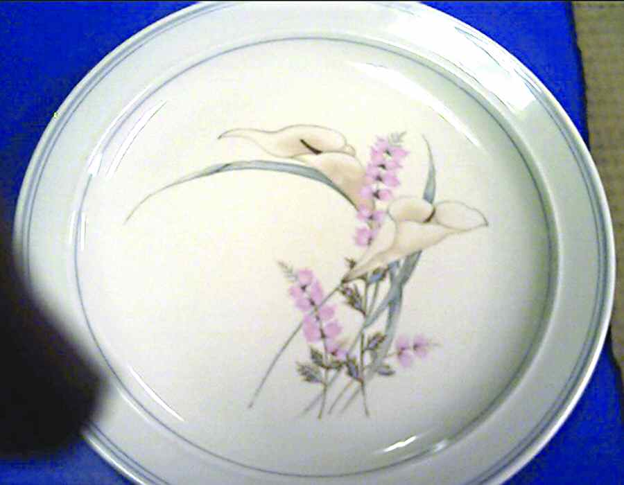 CX300 Dinner Plate by China (Made in China)-1