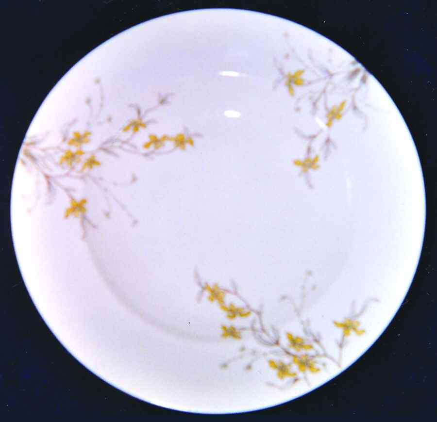 CAR143 Dinner Plate by Carlsbad-1