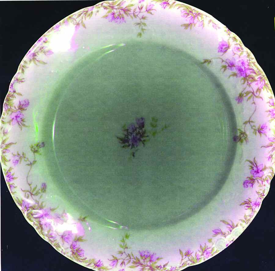 CHF969 Dinner Plate by Charles Field Haviland-1