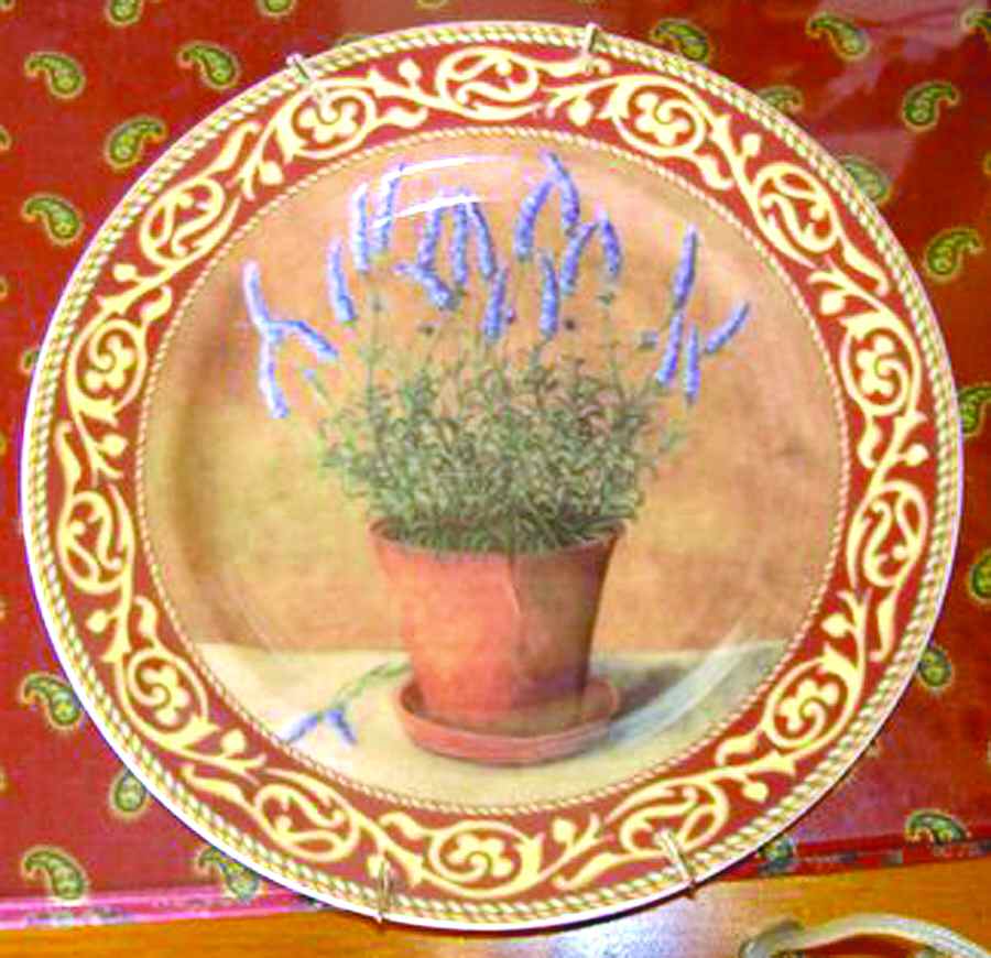 CNR41 Dinner Plate by Chastagner & Cie-1