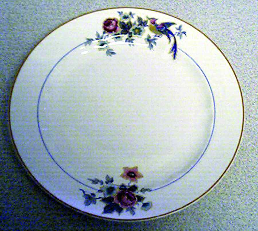 CSA16 Dinner Plate by Crescent China -1