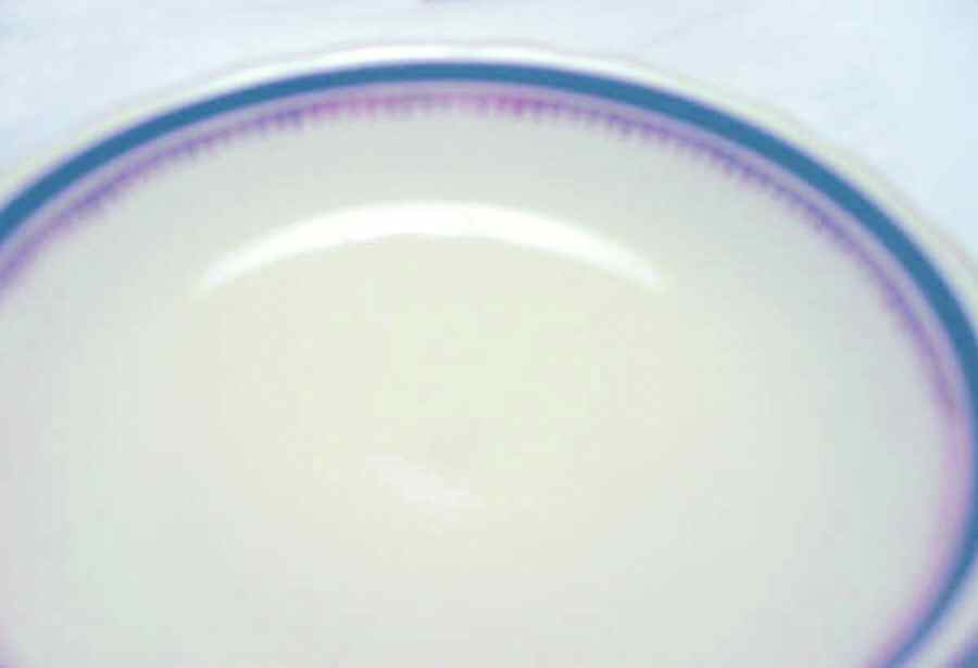 661-6547 Dinner Plate by Celebrate-1