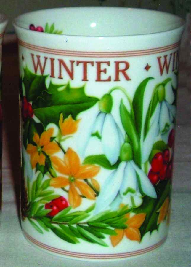 Various Mugs Only Mug by Crown Trent-1