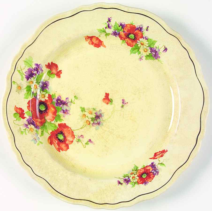 CAN184 Dinner Plate by Canonsburg-1