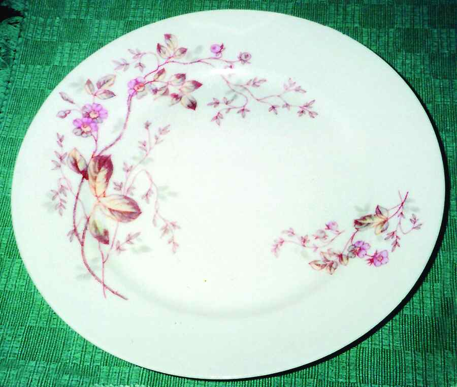 HCZ308 Dinner Plate by Haas-Czjzek Coronado-1