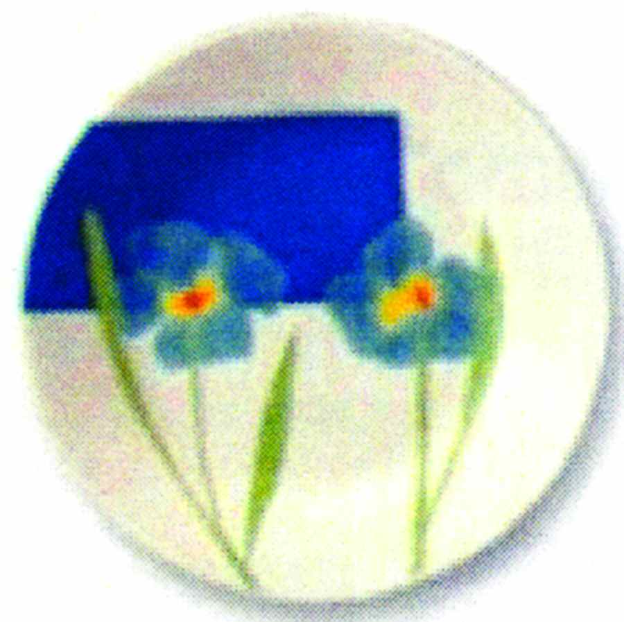 Fiore Blue Salad Plate by Corning Corelle-1