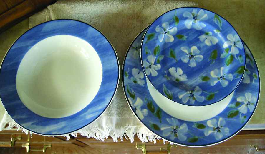 Cosmos Dinner Plate by Coventry (PTS)-1