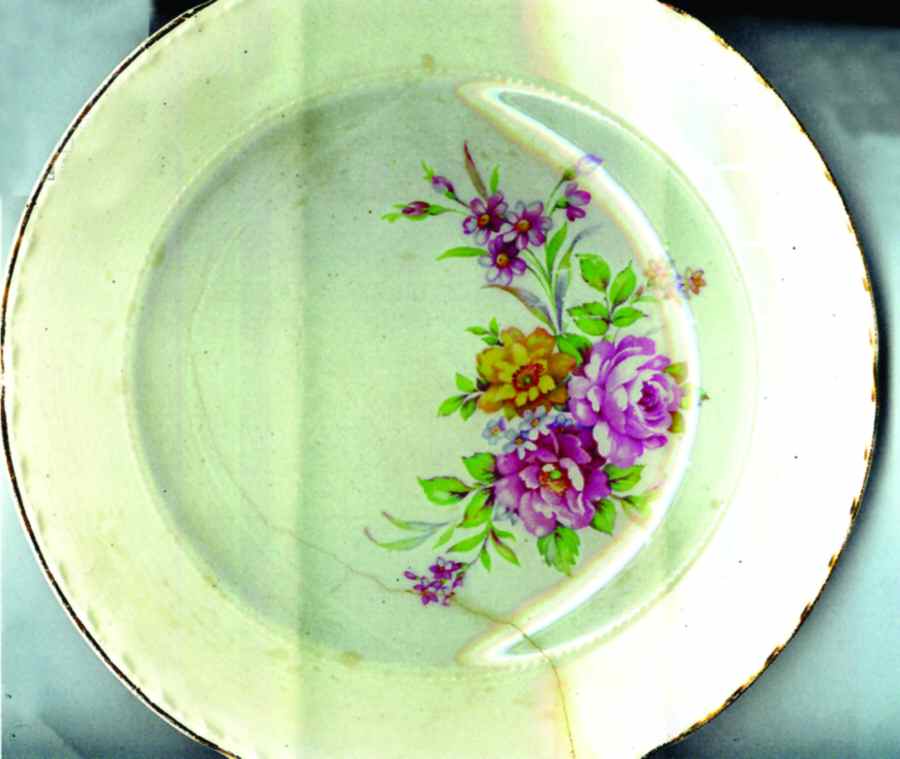 CRO295 Dinner Plate by Crooksville-1