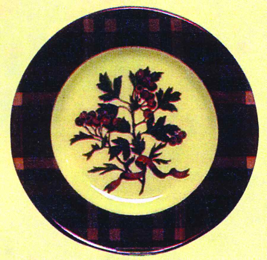 Juniper Berry Salad/Dessert Plate by Certified International-1