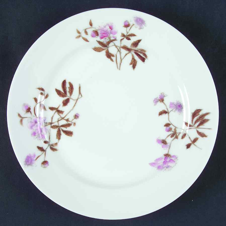 CHF1257 Salad Plate by Charles Field Haviland-1
