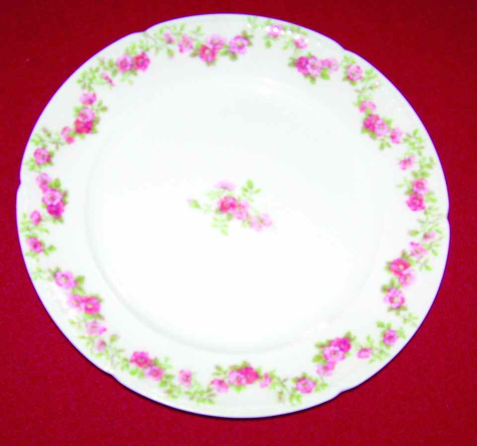 CHF1263 Dinner Plate by Charles Field Haviland-1