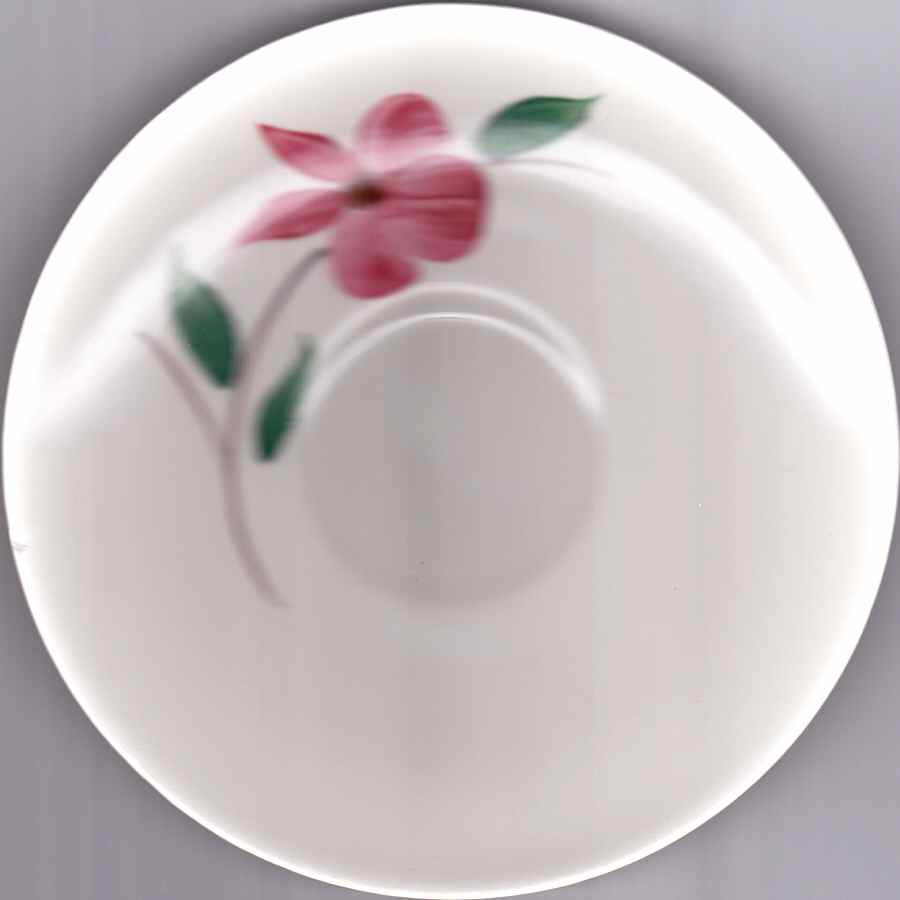 CAN187 Saucer by Canonsburg-1