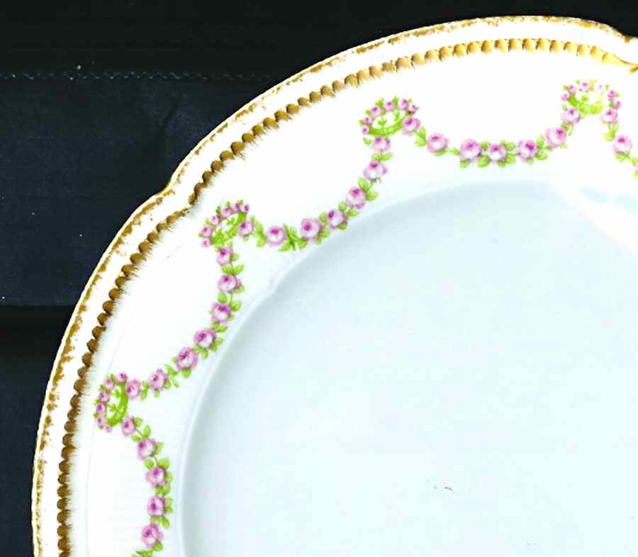 Schleiger 398-1 Dinner Plate by Charles Field Haviland-1