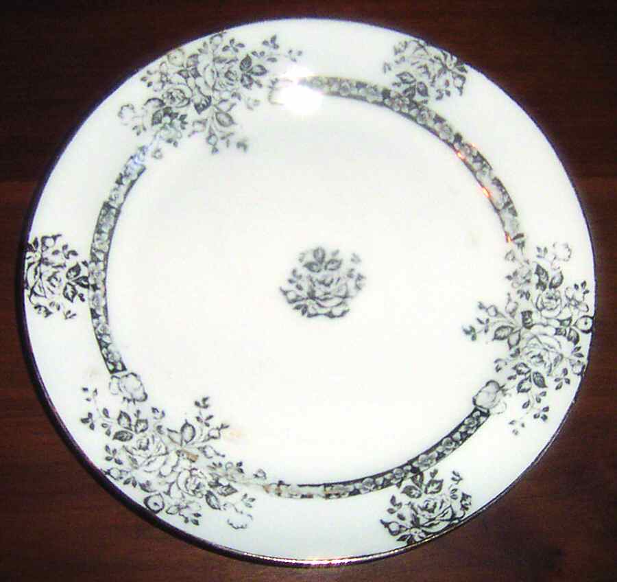 CAN189 Dinner Plate by Canonsburg-1