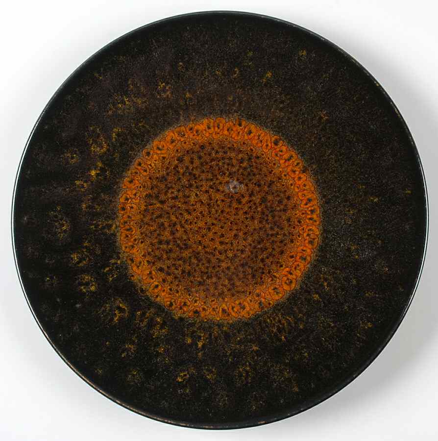 Kuttara Salad Plate by Crate & Barrel-1