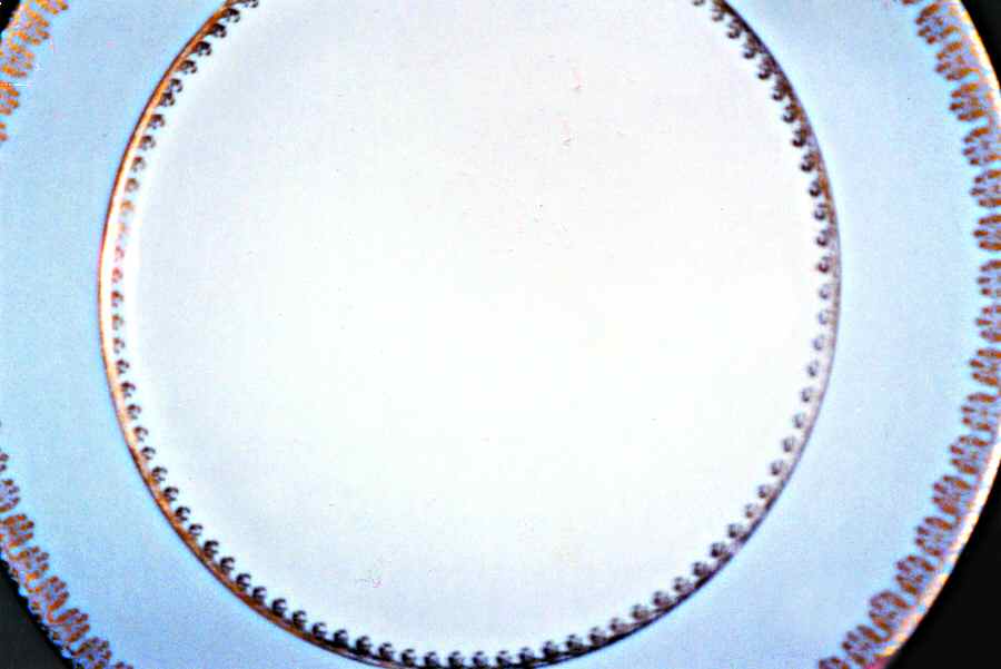 CHF1295 Dinner Plate by Charles Field Haviland-1