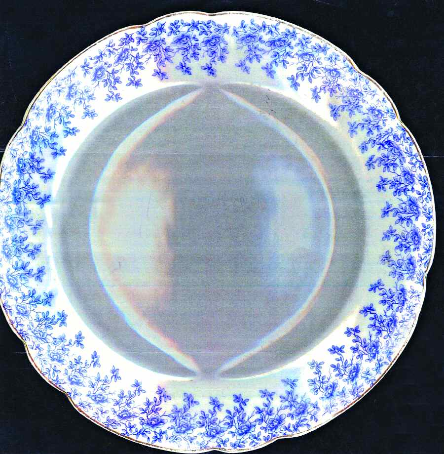 CAR156 Dinner Plate by Carlsbad-1